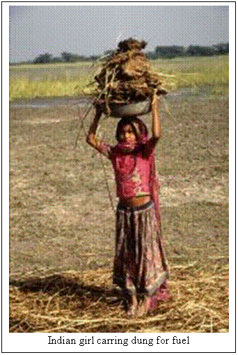 text box:  
indian girl carring dung for fuel
